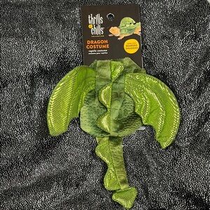 🐉New Bearded Dragon DRAGON Costume🐉